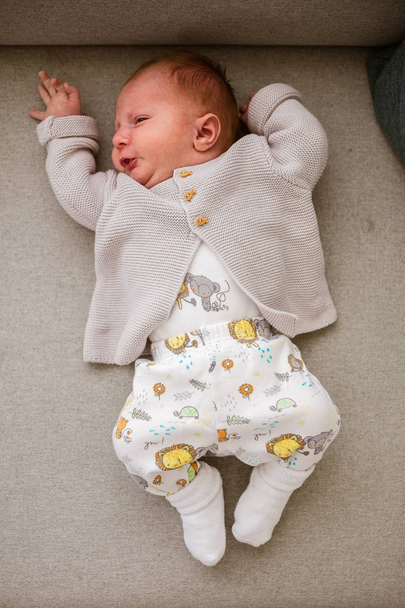 Export x3 5D4 6789 Familienfotoshooting 2019 Hefti